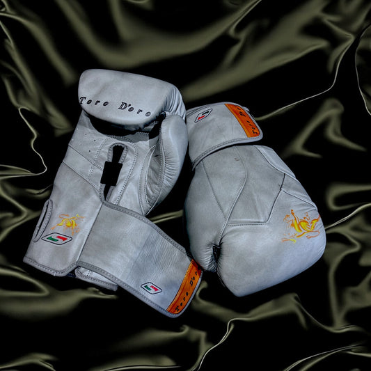 TORO D’ORO ULTIMA BOXING